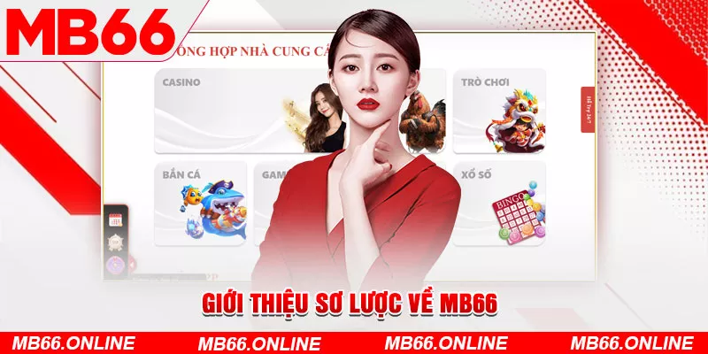 Giới thiệu sơ lược về MB66