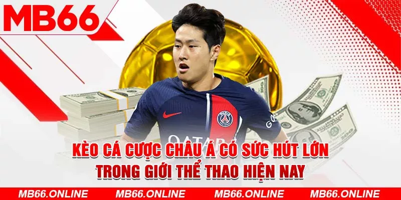 Kèo cá cược Châu Á có sức hút lớn trong giới thể thao hiện nay