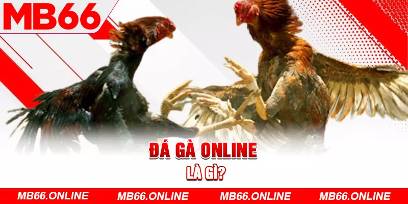 Đá gà online là gì?