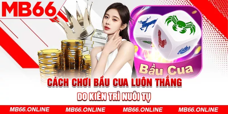  Cách chơi bầu cua luôn thắng do kiên trì nuôi tụ