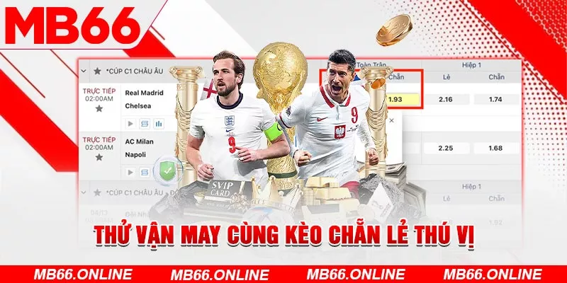 Thử vận may cùng kèo chẵn lẻ thú vị