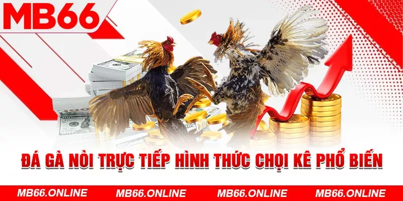 Đá gà Nòi trực tiếp hình thức chọi kê phổ biến