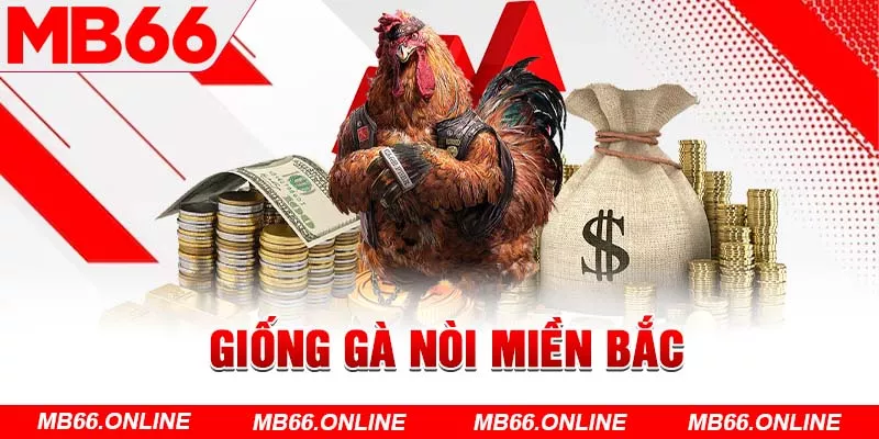 Giống gà Nòi miền Bắc