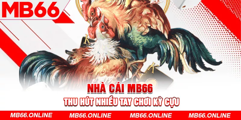 Nhà cái MB66 thu hút nhiều tay chơi kỳ cựu