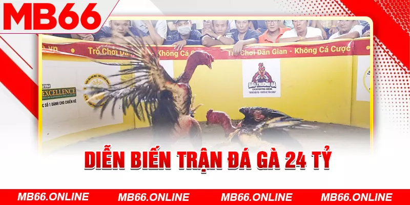 Diễn biến trận đá gà 24 tỷ