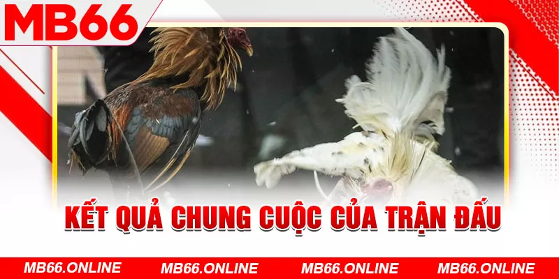 Kết quả chung cuộc của trận đấu