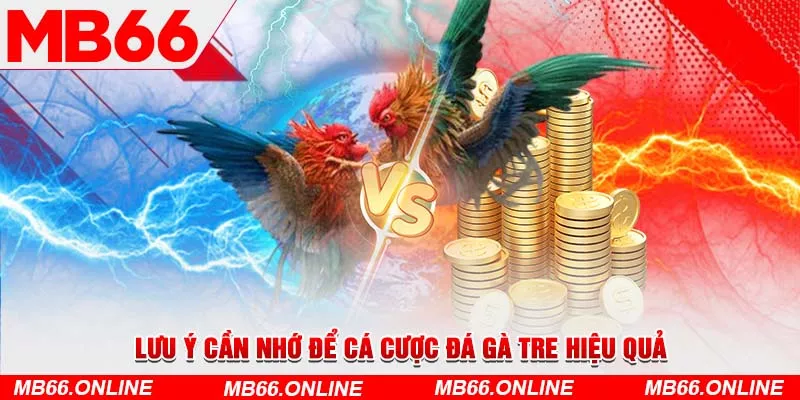 Lưu ý cần nhớ để cá cược đá gà tre hiệu quả