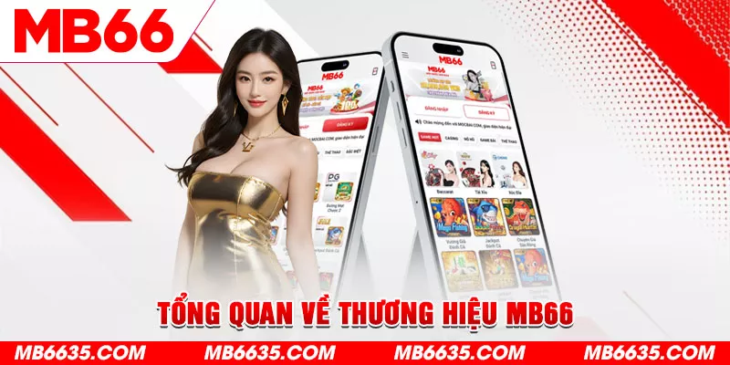 2-tong-quan-ve-thuong-hieu-mb66