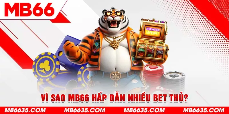 2-vi-sao-mb66-hap-dan-nhieu-bet-thu-