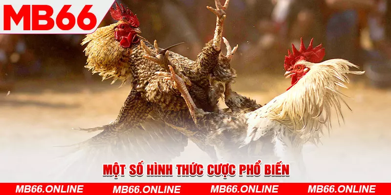 3-mot-so-hinh-thuc-cuoc-pho-bien