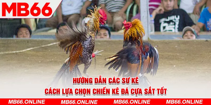 4-huong-dan-cac-su-ke-cach-lua-chon-chien-ke-da-cua-sat-tot