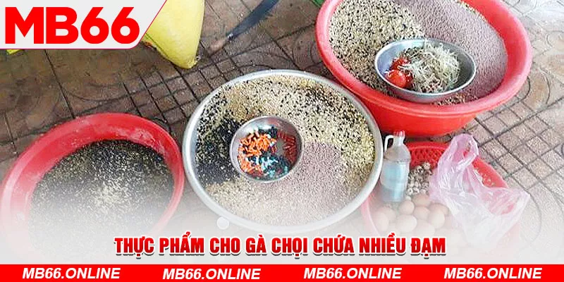 4-thuc-pham-cho-ga-choi-chua-nhieu-dam-