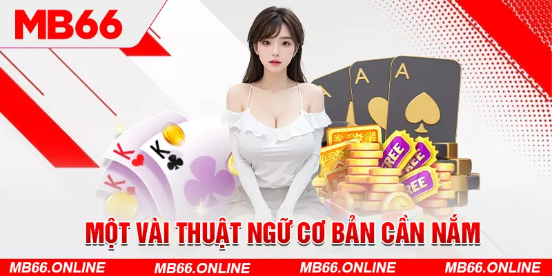 5-mot-vai-thuat-ngu-co-ban-can-nam-