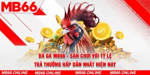 Kinh nghiệm chơi đá gà bao thắng