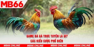 1-game-da-ga-truc-tuyen-la-gi_-cac-kieu-cuoc-pho-bien-